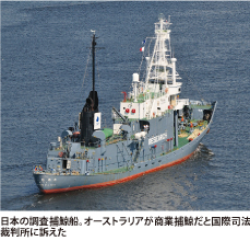 日本の調査捕鯨船