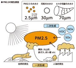 微小粒子状物質（PM2.5）の正体は？
