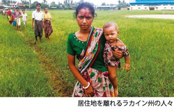 50万人もの「ロヒンギャ」がバングラデシュに避難