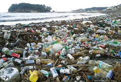 プラスチックごみで深刻化する海洋汚染
