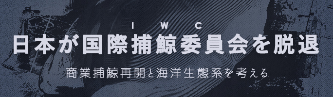 日本が国際捕鯨委員会(IWC)を脱退